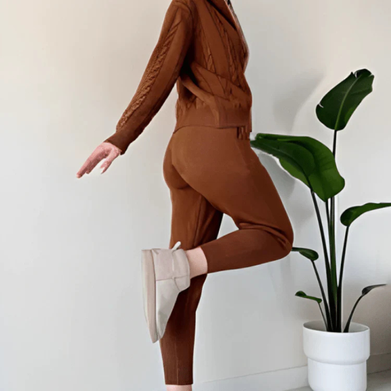 Zweiteiliges Set Aus Oberteil Mit Reißverschluss Und Kurzer Hose Für Damen | Kapuze