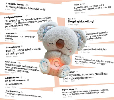 DER ERLÖS KOALA