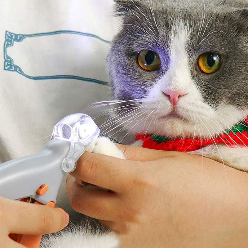 Bester Nagelknipser für Hunde mit Schnellsensoren