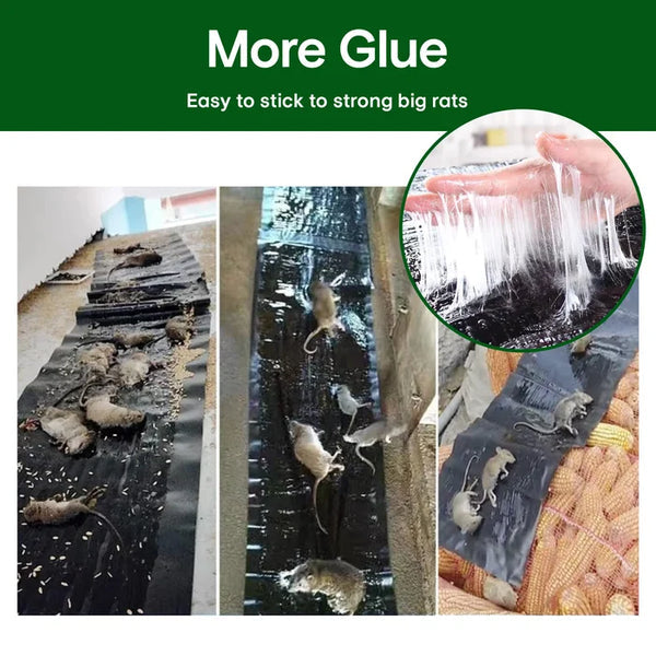 Große klebrige Mausefalle