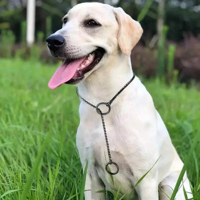 Hundehalsband mit Schlangenkette, rostfreier Edelstahl, Haustier-Metall-Schlupfketten, Hundeshow-Trainingshalsband, Welpen-Halskette mit kubanischen Gliedern